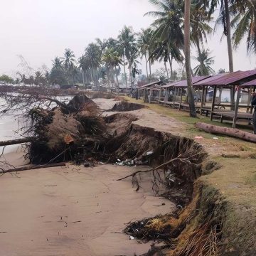 Laporan BPBD Soal Abrasi Pantai di Pasia Jambak, Padang