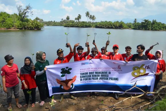 Aksi Menanam Bibit Mangrove: Keluarga Besar LKBN Antara Biro Sumatera Barat Mendukung Lingkungan di Pantai Pasia Jambak