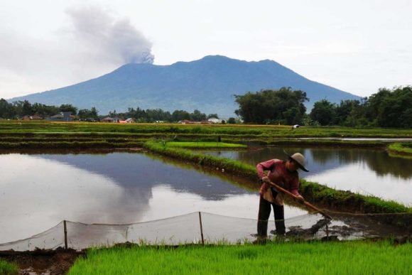 Ombudsman-RI-Temukan-Keterlibatan-Instansi-Terkait-Pembukaan-Pendakian-Gunung-Marapi Ombudsman RI Temukan Keterlibatan Instansi Terkait Pembukaan Pendakian Gunung Marapi