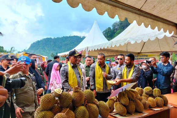 Padang Pariaman: Menelusuri Jejak Durian Terbesar di Lima Daerah