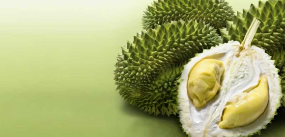 5.-Duren Duren: Kandungan Nutrisi dan Tips Konsumsi yang Sehat
