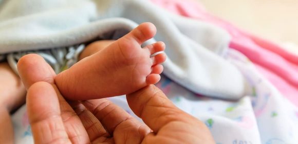 Stunting dan Gizi Buruk: Banyak di Bahas di Debat 5 Pilpres Stunting dan Gizi Buruk: Banyak di Bahas di Debat 5 Pilpres