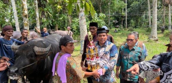 Kontes Kabau Gadang Memperkuat Kualitas dan Keamanan Pangan di Kabupaten Padang Pariaman Kontes Kabau Gadang: Memperkuat Kualitas dan Keamanan Pangan di Kabupaten Padang Pariaman