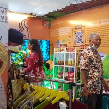 Menuju Puncak Investasi: Sulteng Expo 2024 Menggerakkan Ekonomi Sulawesi Tengah