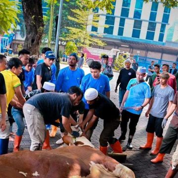 Pada Hari Idul Adha 1445 H, PLN Berbagi Hewan Kurban di Seluruh Indonesia