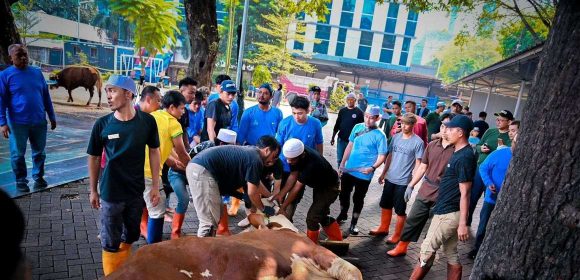 Pada Hari Idul Adha 1445 H, PLN Berbagi Hewan Kurban di Seluruh Indonesia