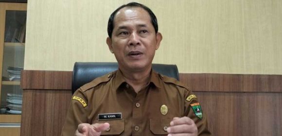 Dinas Peternakan Sumbar Jamin Daging Sapi Yang Terpapar PMK Aman Dikonsumsi