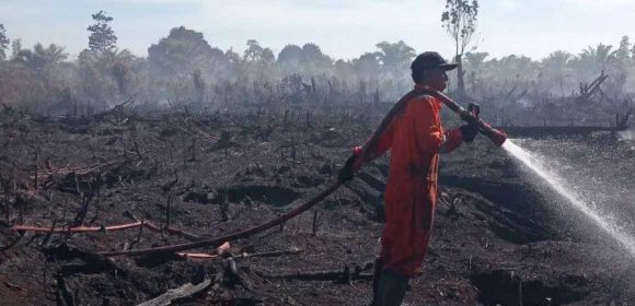 Pemkab Agam Sukses Padamkan Api Di Lahan Sawit Sungai Sirah
