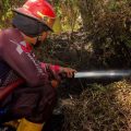 Dishut Duga Karhutla Sumbar Akibat Pembukaan Lahan dengan Cara Dibakar