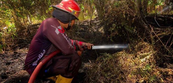 Dishut Duga Karhutla Sumbar Akibat Pembukaan Lahan dengan Cara Dibakar