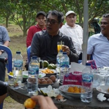 Gowes Bersama, Bupati JKA Tinjau Kebun Jeruk Milik Petani Milenial Sintuak Toboh Gadang
