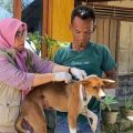 Penanganan Cepat Kasus Gigitan Anjing Rabies di Nagari Anduriang, 10 Warga Jadi Korban