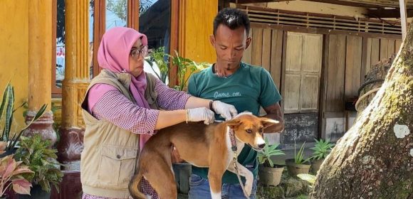 Penanganan Cepat Kasus Gigitan Anjing Rabies di Nagari Anduriang, 10 Warga Jadi Korban
