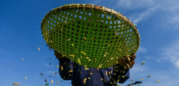 WEBSITE (25) Hari Pangan Dunia Untuk Asta Cita