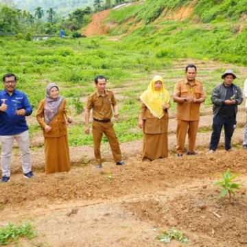 WEBSITE (27) PTBA Bantu 3.500 Bibit Cabai, Sawahlunto Perkuat Ketahanan Pangan Lokal