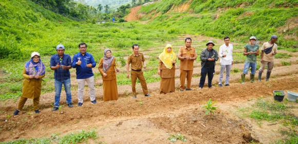 WEBSITE (27) PTBA Bantu 3.500 Bibit Cabai, Sawahlunto Perkuat Ketahanan Pangan Lokal