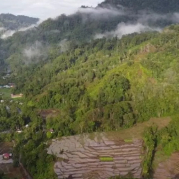 WEBSITE (67) Pengusaha Minang : Hilirisasi Gambir Bisa Dongkrak Pertumbuhan Ekonomi Sumbar