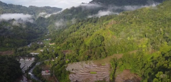 WEBSITE (67) Pengusaha Minang : Hilirisasi Gambir Bisa Dongkrak Pertumbuhan Ekonomi Sumbar