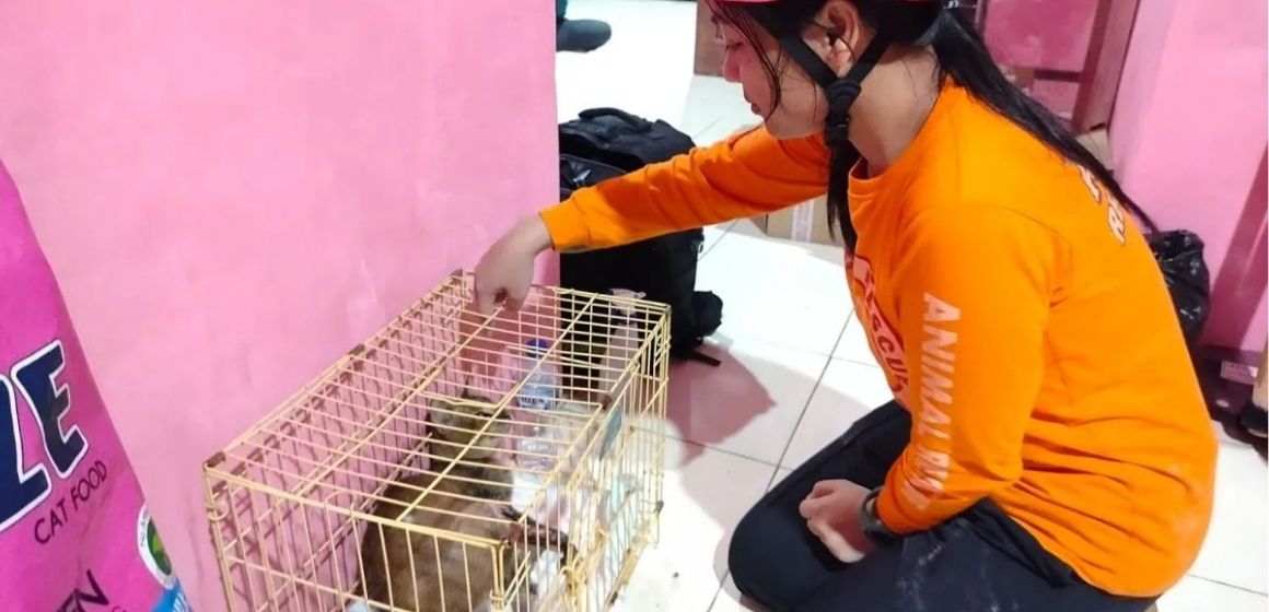 WEBSITE (47) COP Bantu Penanganan Satwa Terdampak Bencana Hidrometeorologi Di Agam