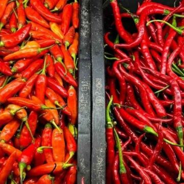 Harga Pangan Bergejolak: Cabai Rawit Merah Rp57.150, Telur Ayam Tembus Rp36.000.