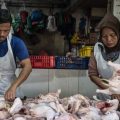 Kabar Baik! Harga Cabai Rawit Merah dan Daging Ayam Kompak Turun Rabu Ini