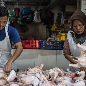 Kabar Baik! Harga Cabai Rawit Merah dan Daging Ayam Kompak Turun Rabu Ini