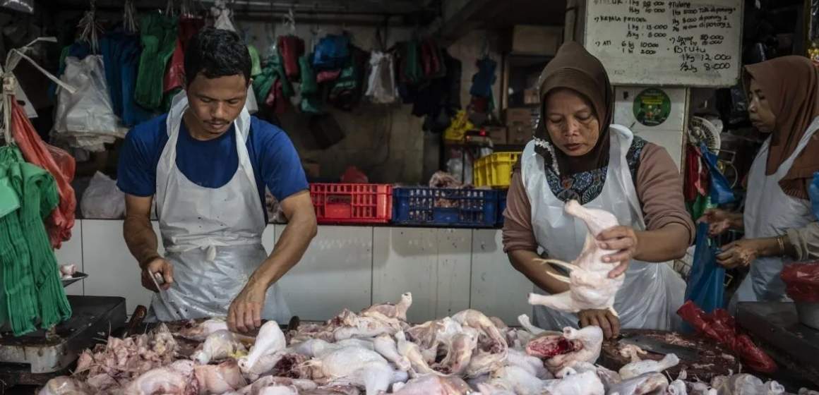 WEBSITE - 2026-01-28T110119.734 Kabar Baik! Harga Cabai Rawit Merah dan Daging Ayam Kompak Turun Rabu Ini