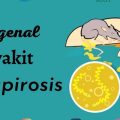 Waspada! Dokter Sebut Demam Tinggi Mendadak dan Menggigil Bisa Jadi Gejala Leptospirosis