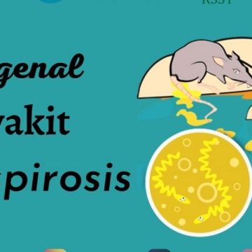 Waspada! Dokter Sebut Demam Tinggi Mendadak dan Menggigil Bisa Jadi Gejala Leptospirosis