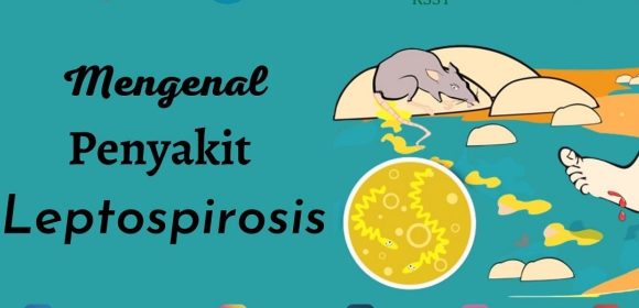 WEBSITE - 2026-01-29T094859.602 Waspada! Dokter Sebut Demam Tinggi Mendadak dan Menggigil Bisa Jadi Gejala Leptospirosis