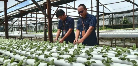 SATP Dorong Kreativitas Siswa Melalui Pembelajaran Sains Berbasis Edupreneur