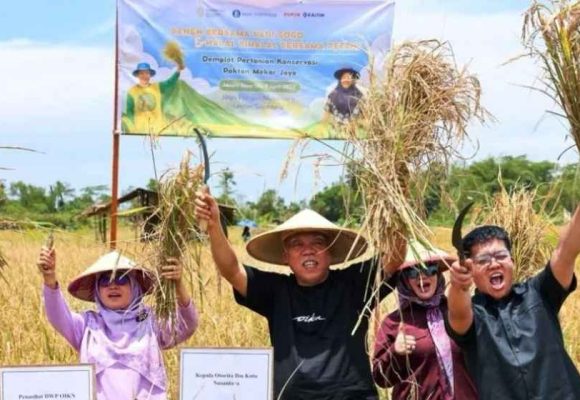 WEBSITE - 2026-04-10T082359.596 Kolaborasi OIKN-IPB Hasilkan Panen Padi Gogo 20 Hektare Di Nusantara