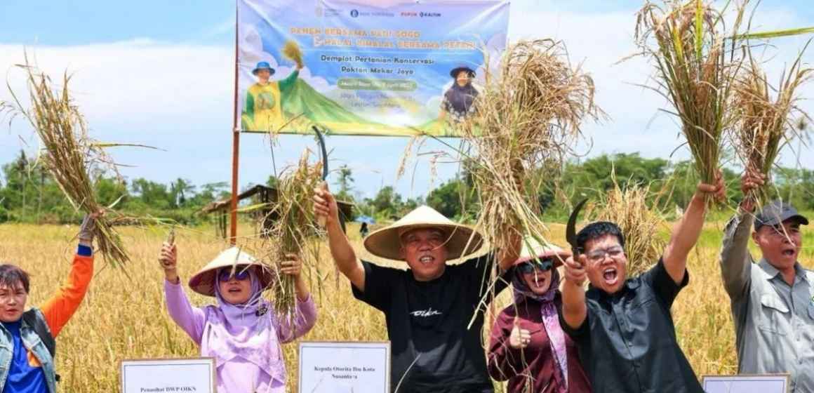 WEBSITE - 2026-04-10T082359.596 Kolaborasi OIKN-IPB Hasilkan Panen Padi Gogo 20 Hektare Di Nusantara