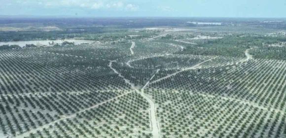 Menyelamatkan PAD Dari “Kebocoran” Pajak Air Permukaan Di Industri Sawit