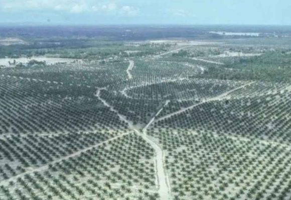 WEBSITE - 2026-04-13T082001.005 Menyelamatkan PAD Dari “Kebocoran” Pajak Air Permukaan Di Industri Sawit