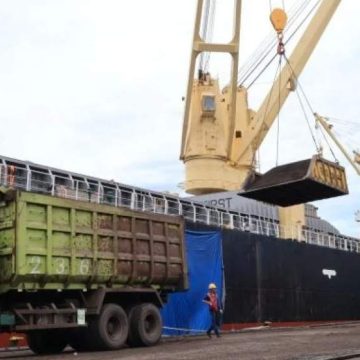 Kinerja Ekspor Terjaga: CPO Tetap Jadi Komoditas Unggulan di PTP Nonpetikemas Padang