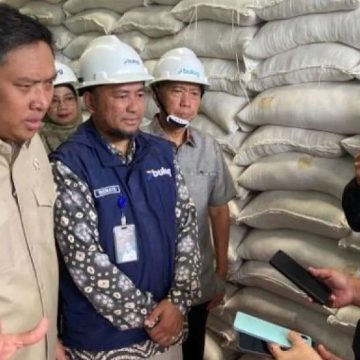 Wamentan: Stok Beras RI Tembus 5 Juta Ton Tertinggi Sepanjang Sejarah