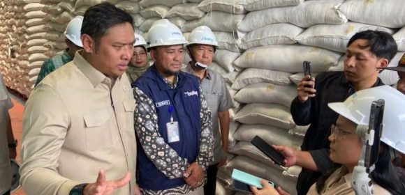 Wamentan: Stok Beras RI Tembus 5 Juta Ton Tertinggi Sepanjang Sejarah