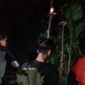 BKSDA Sumbar pasang kandang jebak evakuasi harimau di Agam