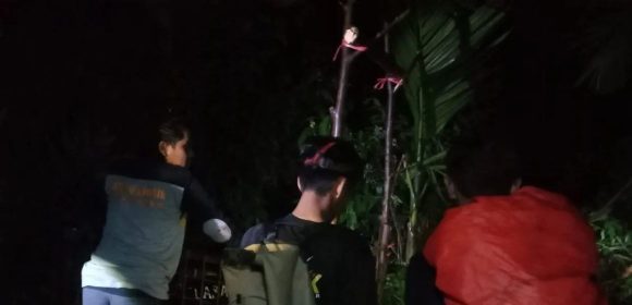 BKSDA Sumbar pasang kandang jebak evakuasi harimau di Agam