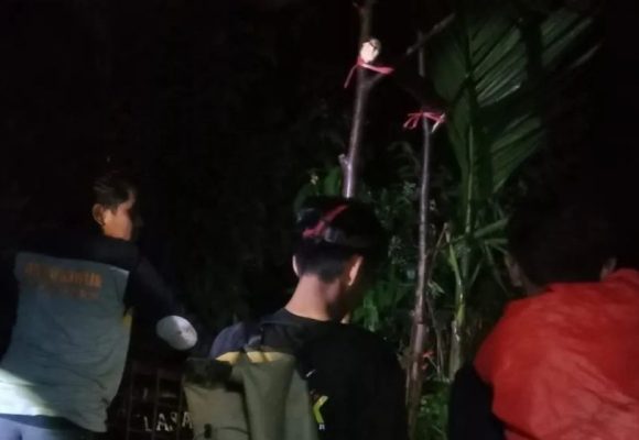 BKSDA Sumbar pasang kandang jebak evakuasi harimau di Agam