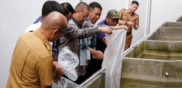 WEBSITE - 2026-05-05T091615.921 Kanwil Ditjenpas Sumbar dan Wako Padang Panjang tebar bibit lele di Rutan