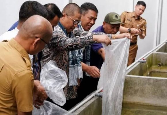 Kanwil Ditjenpas Sumbar dan Wako Padang Panjang tebar bibit lele di Rutan