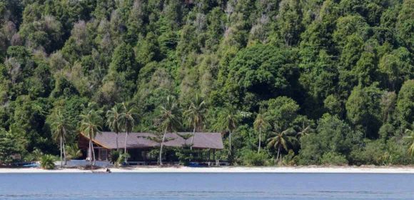 Pemprov: Mentawai Perkokoh Identitas Jadi Lokasi Selancar Kelas Dunia