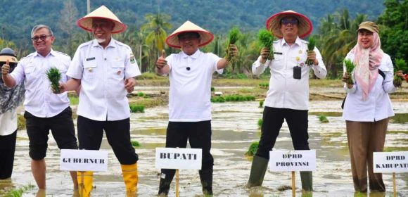Target Mentan Sebulan, Padang Pariaman Tuntaskan Penanganan Lahan Pertanian Hanya 23 Hari, Tercepat di Sumbar
