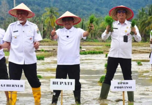 WEBSITE - 2026-05-15T103209.157 Target Mentan Sebulan, Padang Pariaman Tuntaskan Penanganan Lahan Pertanian Hanya 23 Hari, Tercepat di Sumbar