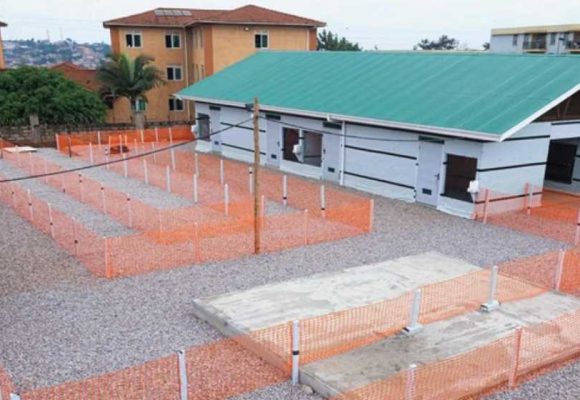 Wabah Ebola, Uganda Larang Masyarakatnya Jabat Tangan