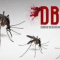Kasus DBD Kalbar 2026 Tembus 970 Kasus, 4 Meninggal Dunia