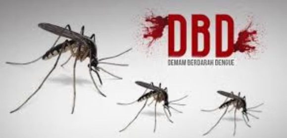Kasus DBD Kalbar 2026 Tembus 970 Kasus, 4 Meninggal Dunia