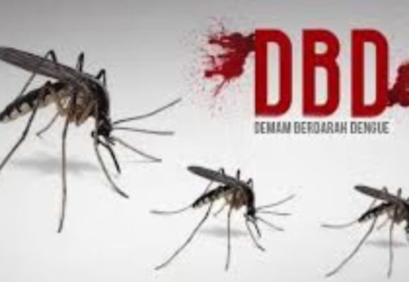 WEBSITE - 2026-05-22T093958.363 Kasus DBD Kalbar 2026 Tembus 970 Kasus, 4 Meninggal Dunia